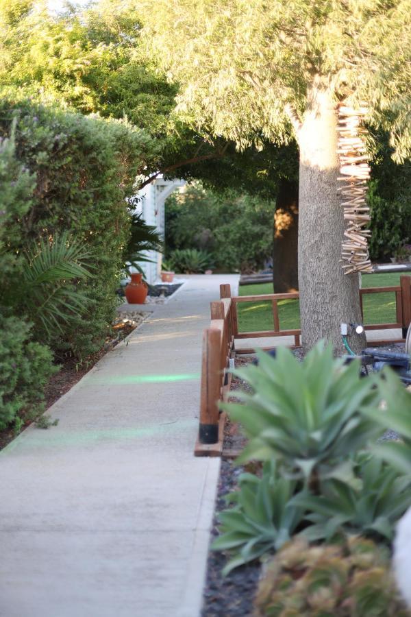 Chalet Morad Haharbel - Boutique Arbel